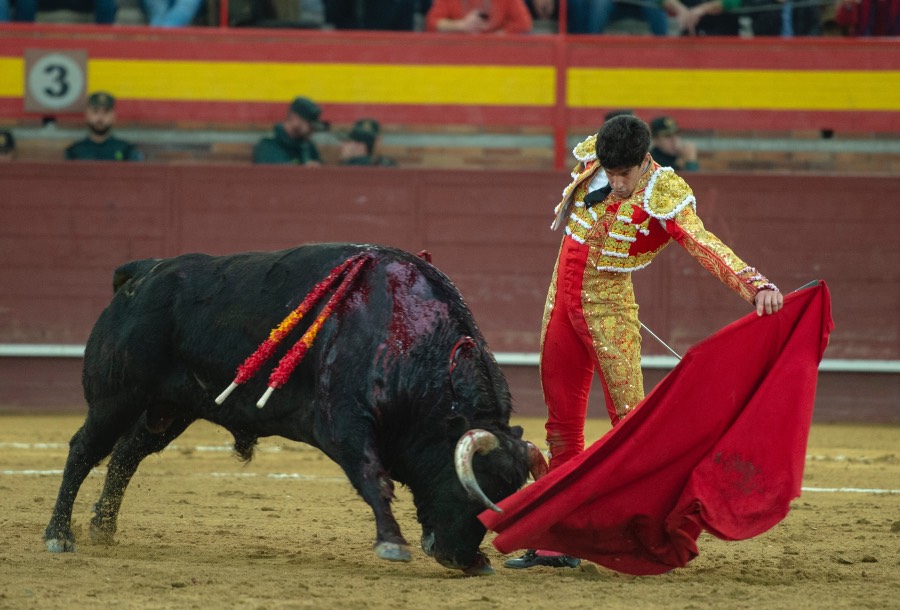 Valdemorillo, domingo 9 de febrero de 2020. Toros de Montalvo para Daniel Luque, López Simón y Álvaro Lorenzo
