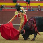 Valdemorillo, domingo 9 de febrero de 2020. Toros de Montalvo para Daniel Luque, López Simón y Álvaro Lorenzo