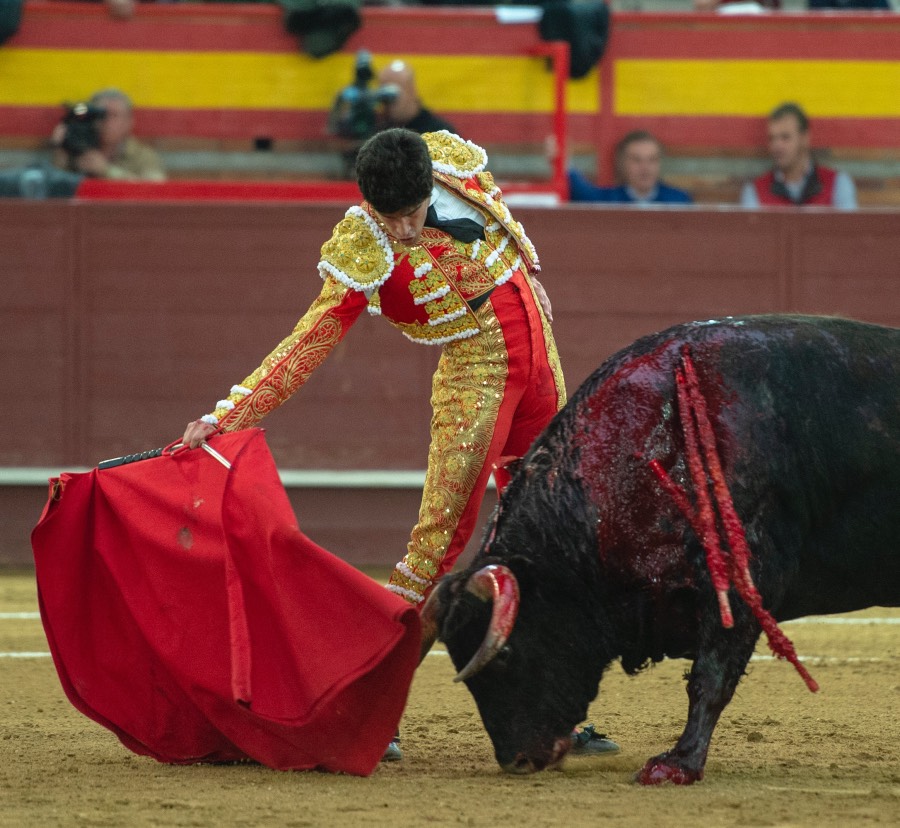 Valdemorillo, domingo 9 de febrero de 2020. Toros de Montalvo para Daniel Luque, López Simón y Álvaro Lorenzo