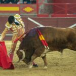 Valdemorillo, domingo 9 de febrero de 2020. Toros de Montalvo para Daniel Luque, López Simón y Álvaro Lorenzo