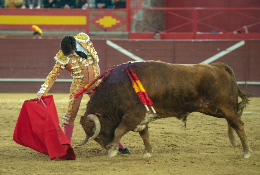 Valdemorillo, domingo 9 de febrero de 2020. Toros de Montalvo para Daniel Luque, López Simón y Álvaro Lorenzo