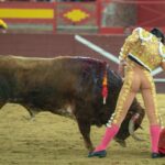 Valdemorillo, domingo 9 de febrero de 2020. Toros de Montalvo para Daniel Luque, López Simón y Álvaro Lorenzo