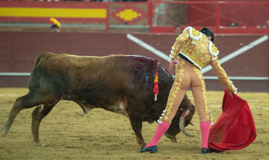 Valdemorillo, domingo 9 de febrero de 2020. Toros de Montalvo para Daniel Luque, López Simón y Álvaro Lorenzo
