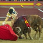 Valdemorillo, domingo 9 de febrero de 2020. Toros de Montalvo para Daniel Luque, López Simón y Álvaro Lorenzo