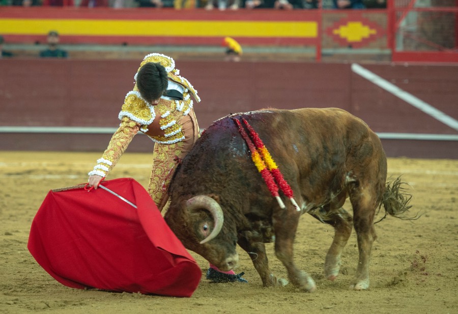 Valdemorillo, domingo 9 de febrero de 2020. Toros de Montalvo para Daniel Luque, López Simón y Álvaro Lorenzo