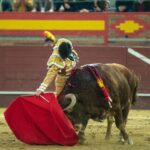 Valdemorillo, domingo 9 de febrero de 2020. Toros de Montalvo para Daniel Luque, López Simón y Álvaro Lorenzo