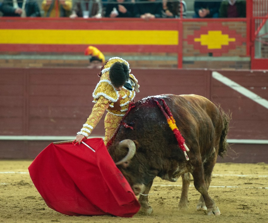 Valdemorillo, domingo 9 de febrero de 2020. Toros de Montalvo para Daniel Luque, López Simón y Álvaro Lorenzo