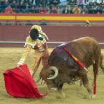 Valdemorillo, domingo 9 de febrero de 2020. Toros de Montalvo para Daniel Luque, López Simón y Álvaro Lorenzo