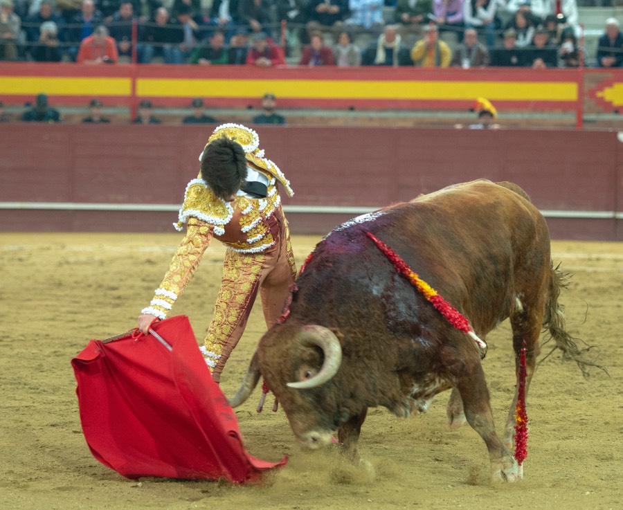 Valdemorillo, domingo 9 de febrero de 2020. Toros de Montalvo para Daniel Luque, López Simón y Álvaro Lorenzo