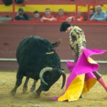 Valdemorillo, domingo 9 de febrero de 2020. Toros de Montalvo para Daniel Luque, López Simón y Álvaro Lorenzo