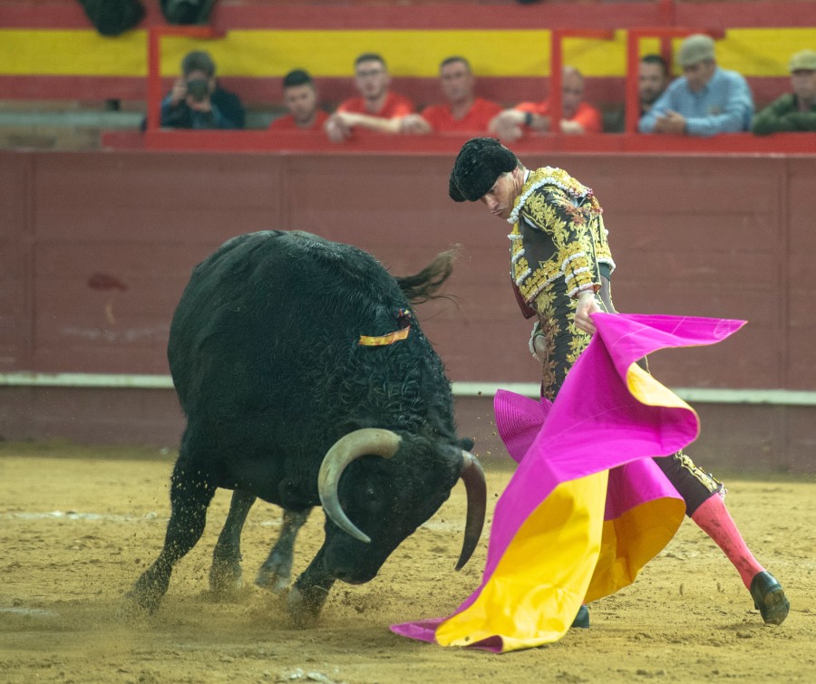 Valdemorillo, domingo 9 de febrero de 2020. Toros de Montalvo para Daniel Luque, López Simón y Álvaro Lorenzo