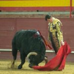 Valdemorillo, domingo 9 de febrero de 2020. Toros de Montalvo para Daniel Luque, López Simón y Álvaro Lorenzo