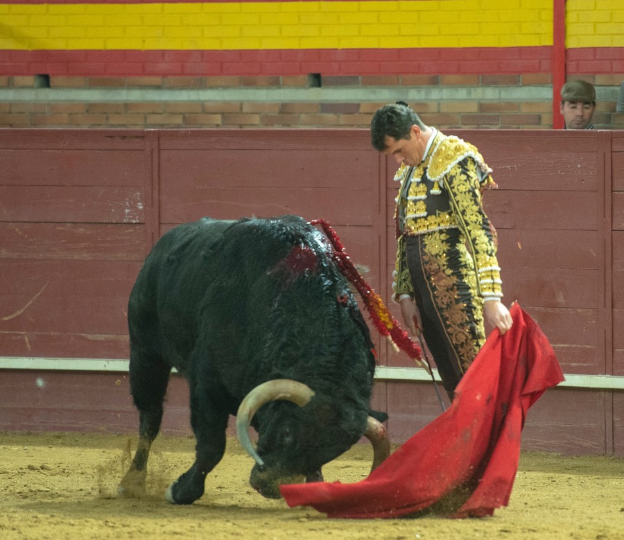 Valdemorillo, domingo 9 de febrero de 2020. Toros de Montalvo para Daniel Luque, López Simón y Álvaro Lorenzo