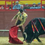 Valdemorillo, domingo 9 de febrero de 2020. Toros de Montalvo para Daniel Luque, López Simón y Álvaro Lorenzo