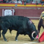 Valdemorillo, domingo 9 de febrero de 2020. Toros de Montalvo para Daniel Luque, López Simón y Álvaro Lorenzo