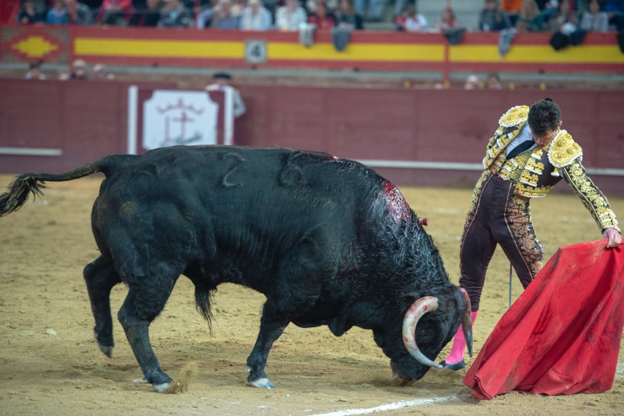 Valdemorillo, domingo 9 de febrero de 2020. Toros de Montalvo para Daniel Luque, López Simón y Álvaro Lorenzo