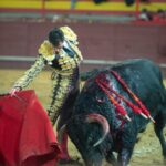 Valdemorillo, domingo 9 de febrero de 2020. Toros de Montalvo para Daniel Luque, López Simón y Álvaro Lorenzo