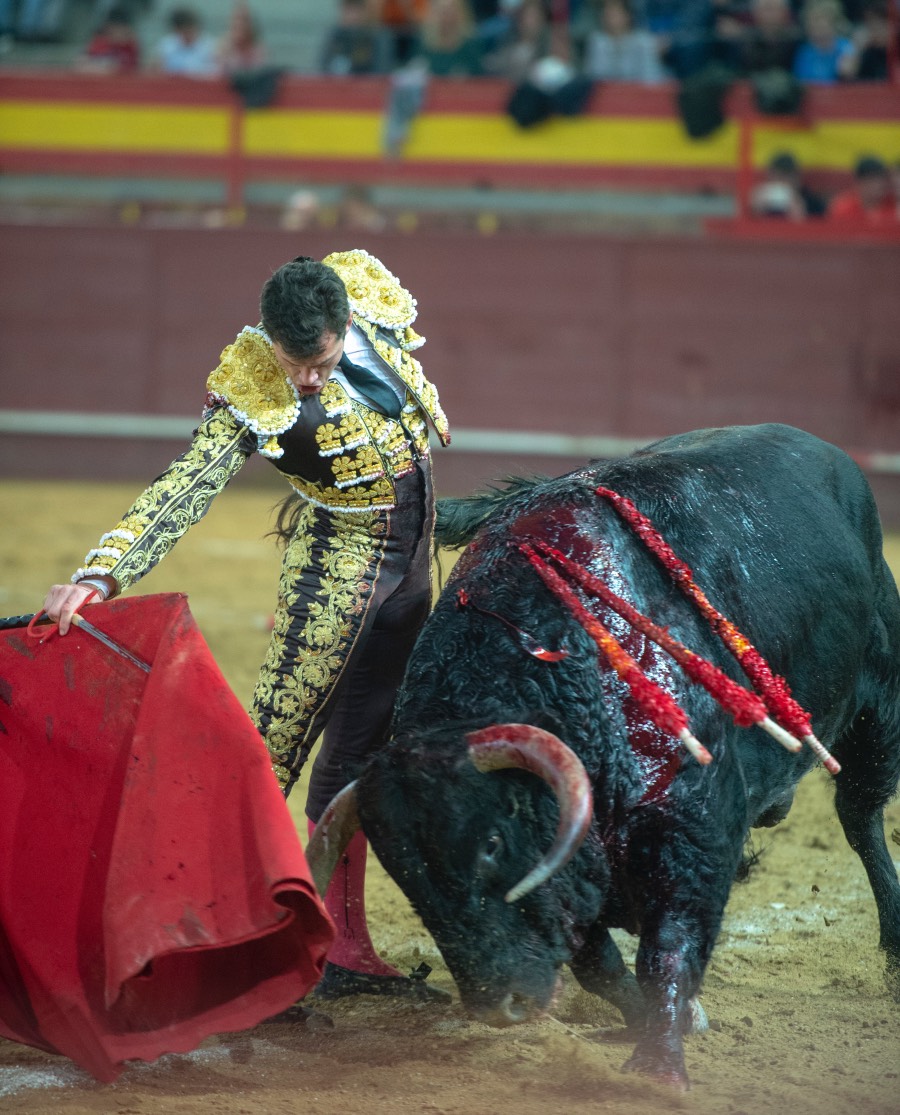 Valdemorillo, domingo 9 de febrero de 2020. Toros de Montalvo para Daniel Luque, López Simón y Álvaro Lorenzo