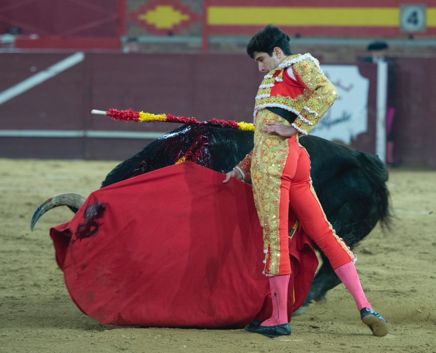 Valdemorillo, domingo 9 de febrero de 2020. Toros de Montalvo para Daniel Luque, López Simón y Álvaro Lorenzo