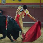 Valdemorillo, domingo 9 de febrero de 2020. Toros de Montalvo para Daniel Luque, López Simón y Álvaro Lorenzo