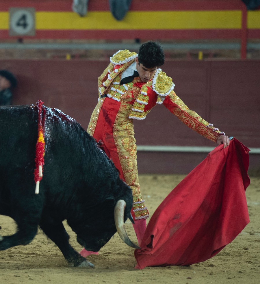 Valdemorillo, domingo 9 de febrero de 2020. Toros de Montalvo para Daniel Luque, López Simón y Álvaro Lorenzo