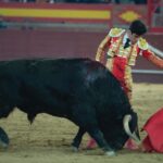 Valdemorillo, domingo 9 de febrero de 2020. Toros de Montalvo para Daniel Luque, López Simón y Álvaro Lorenzo