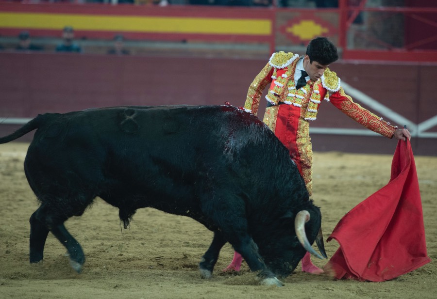 Valdemorillo, domingo 9 de febrero de 2020. Toros de Montalvo para Daniel Luque, López Simón y Álvaro Lorenzo