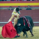 Valdemorillo, domingo 9 de febrero de 2020. Toros de Montalvo para Daniel Luque, López Simón y Álvaro Lorenzo