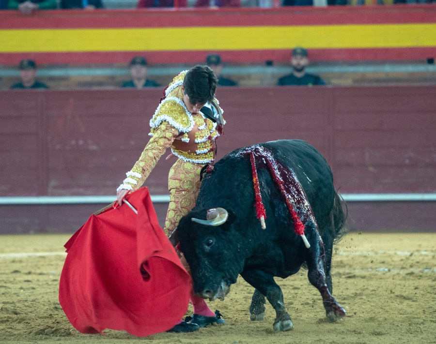 Valdemorillo, domingo 9 de febrero de 2020. Toros de Montalvo para Daniel Luque, López Simón y Álvaro Lorenzo