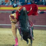 Valdemorillo, domingo 9 de febrero de 2020. Toros de Montalvo para Daniel Luque, López Simón y Álvaro Lorenzo