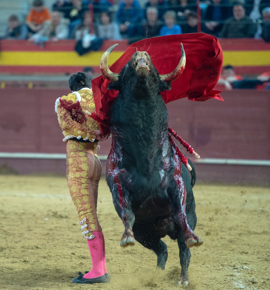 Valdemorillo, domingo 9 de febrero de 2020. Toros de Montalvo para Daniel Luque, López Simón y Álvaro Lorenzo