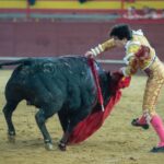Valdemorillo, domingo 9 de febrero de 2020. Toros de Montalvo para Daniel Luque, López Simón y Álvaro Lorenzo