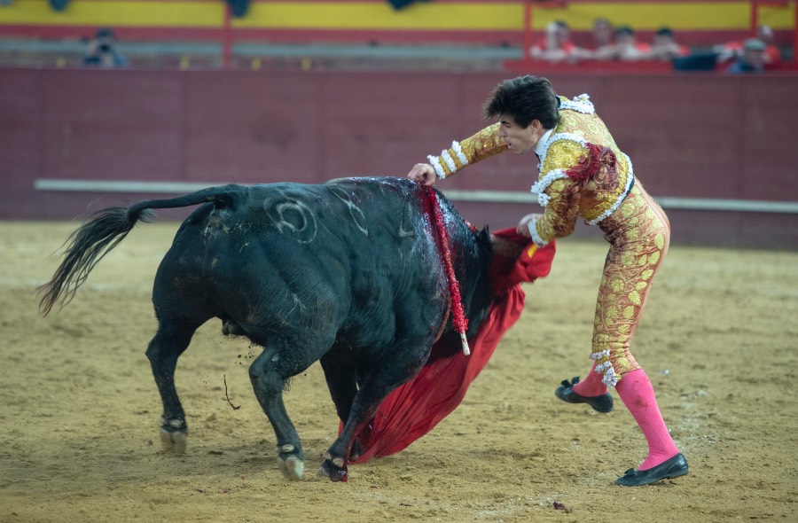 Valdemorillo, domingo 9 de febrero de 2020. Toros de Montalvo para Daniel Luque, López Simón y Álvaro Lorenzo