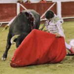 León (México), viernes 31 de enero de 2020.