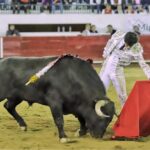 León (México), viernes 31 de enero de 2020.