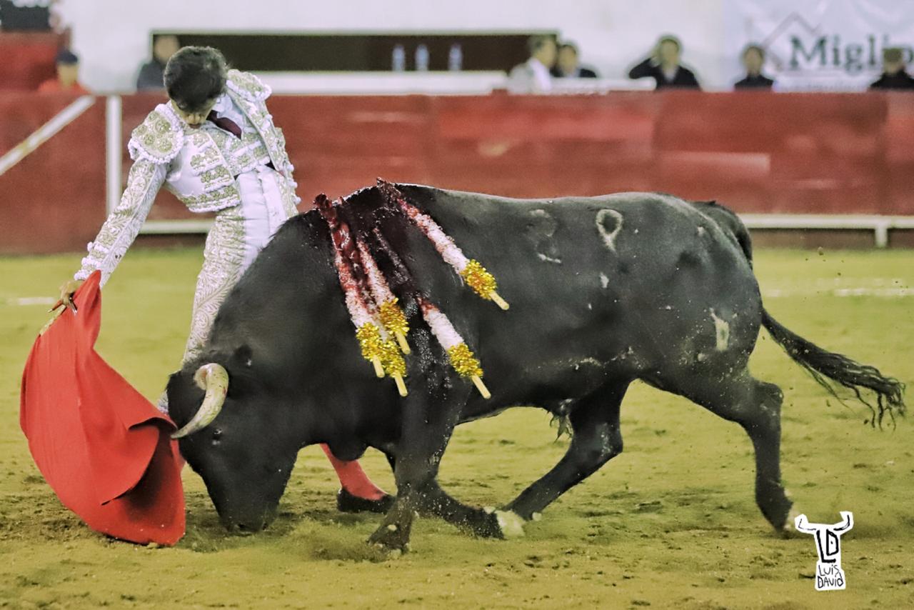León (México), viernes 31 de enero de 2020.