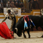 Magescq (Francia), domingo 16 de febrero de 2020