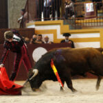 Magescq (Francia), domingo 16 de febrero de 2020