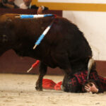 Magescq (Francia), domingo 16 de febrero de 2020