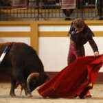 Magescq (Francia), domingo 16 de febrero de 2020