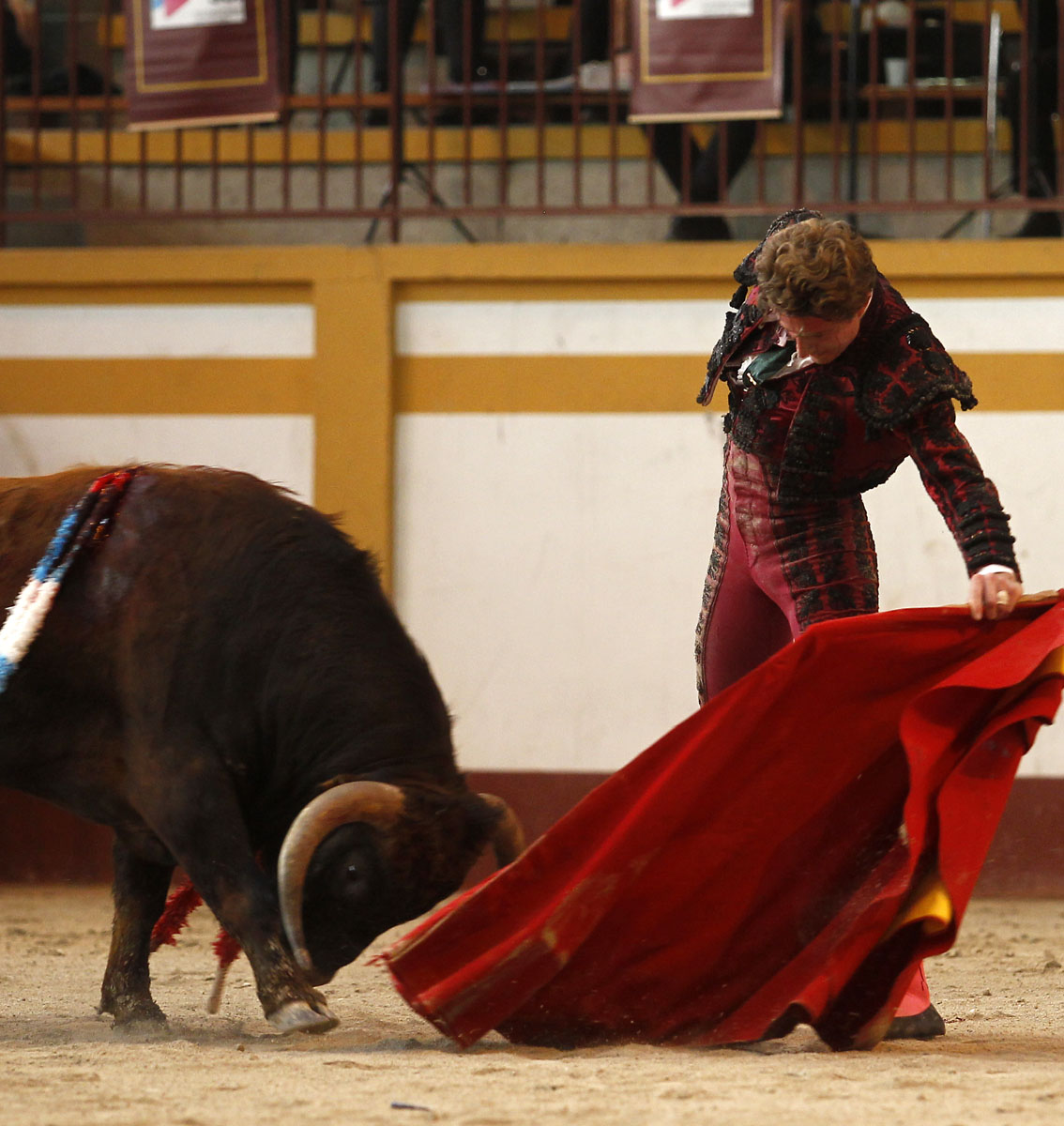 Magescq (Francia), domingo 16 de febrero de 2020