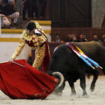 Magescq (Francia), domingo 16 de febrero de 2020