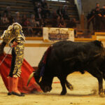 Magescq (Francia), domingo 16 de febrero de 2020