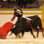 Magescq (Francia), domingo 16 de febrero de 2020