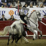 León (México), viernes 31 de enero de 2020.