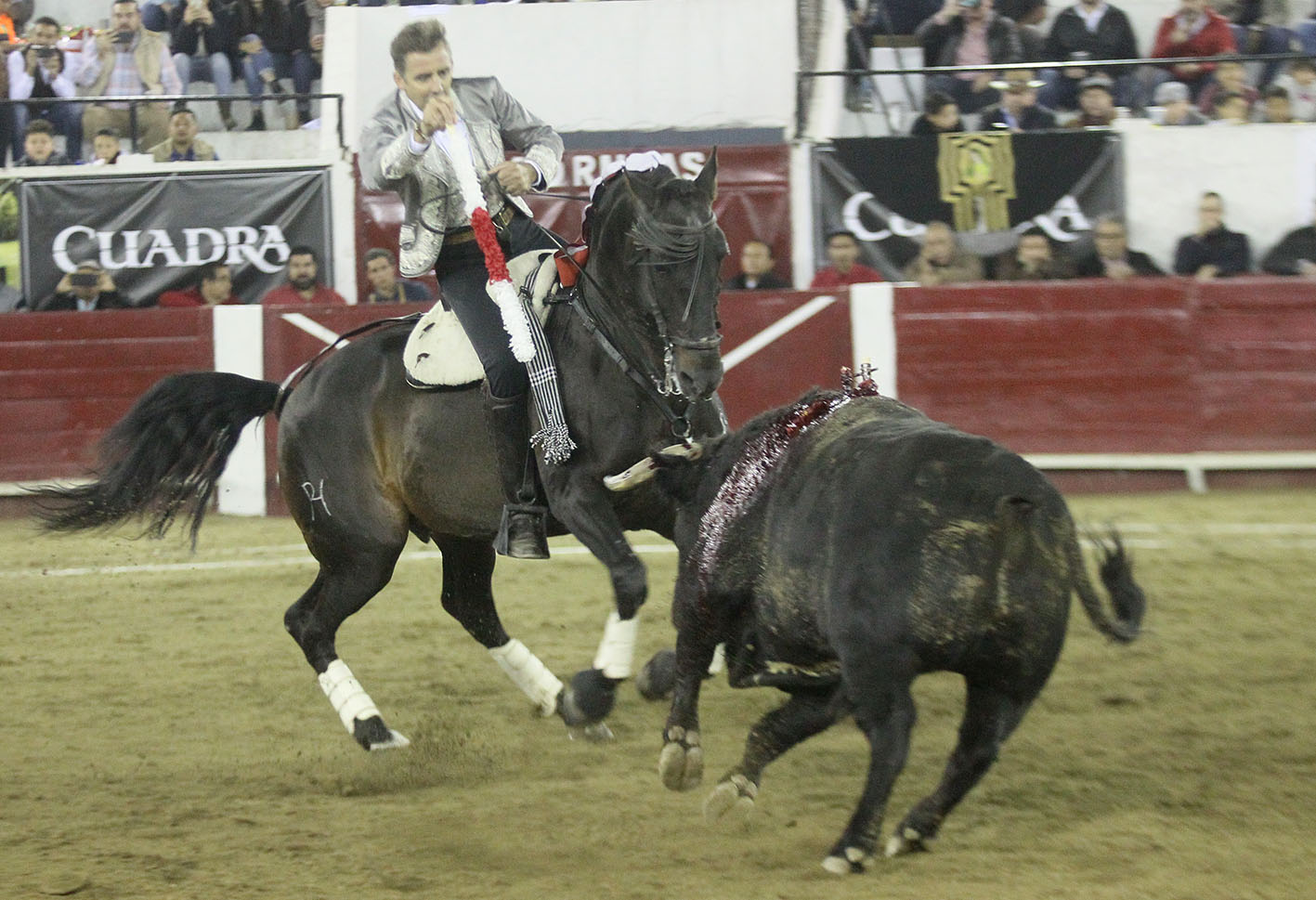 León (México), viernes 31 de enero de 2020.