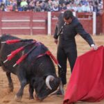 Ciudad Rodrigo, sábado 22 de febrero de 2020