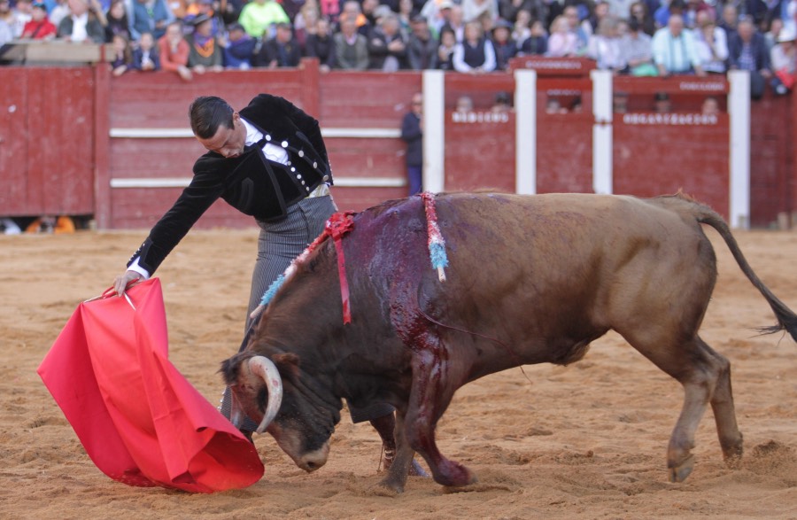 Ciudad Rodrigo, sábado 22 de febrero de 2020