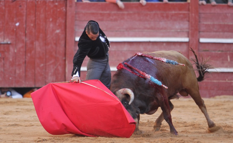 Ciudad Rodrigo, sábado 22 de febrero de 2020