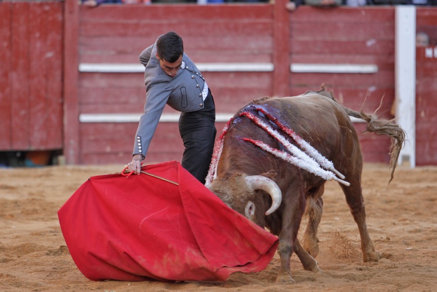 Ciudad Rodrigo, sábado 22 de febrero de 2020
